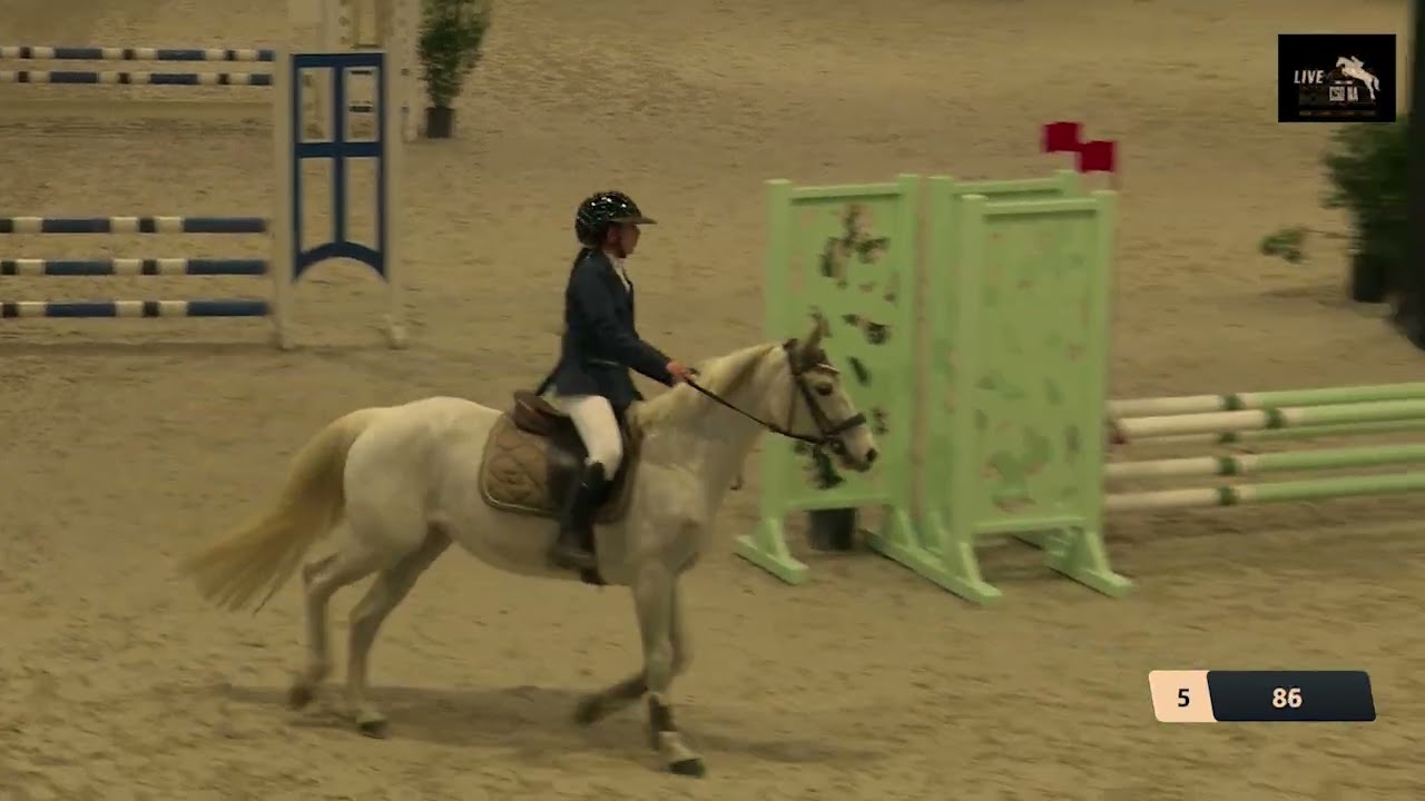 Poney 2 Vitesse by LA SELLERIE DU BASSIN - Piste Baloubet - Samedi 7 février 2026