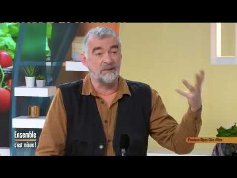 Chronique d'Eric Dehorter : Fonctionnement des AMAP et diversité des légumes d'hiver