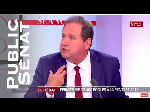 Fermeture d'écoles: Max Brisson plaide pour un droit à la différenciation