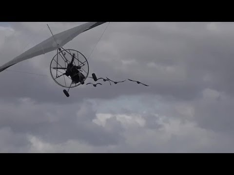 Cinéma : les oies reines du box-office à Sury-aux-Bois dans le Loiret